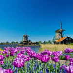 1A Vista MS VistaNeo Schnupperreise Holland Impressionen4