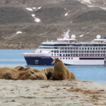 20820,3,nat Ins Spi Bug Spitzbergen 20820,3,nat Ins Spi Bug Spitzbergen