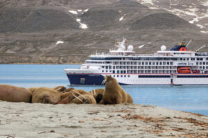 20820,3,nat Ins Spi Bug Spitzbergen